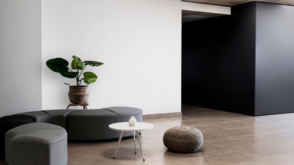 Modern lobby with sofa, plants and Dove color walls