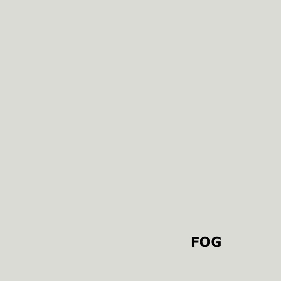 Fog Gray Color Example Fog